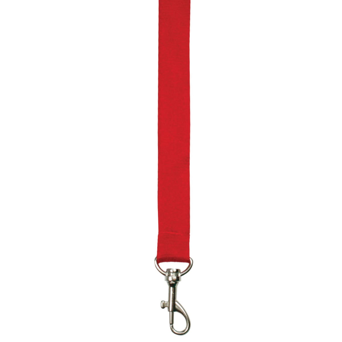 kanarische bananenpflanze kaufen XXL Bananenpflanze kaufen  Green Me Up