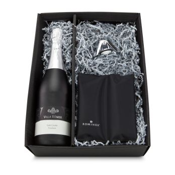 Geschenkset: Sekt-Kühlung