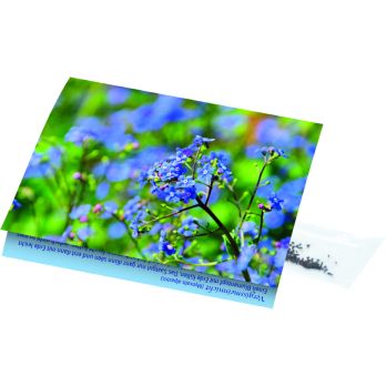 Klappkärtchen Vergissmeinnicht
