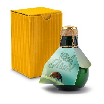 Kleinste Sektflasche der Welt! Viel Glück - Inklusive Geschenkkarton
