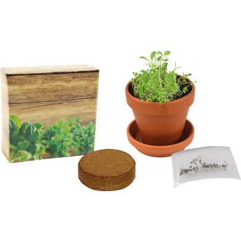 Kräuter-Präsent XS