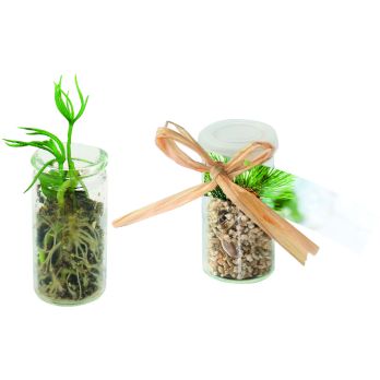 Mini Glasshouse Weihnachtsbaum