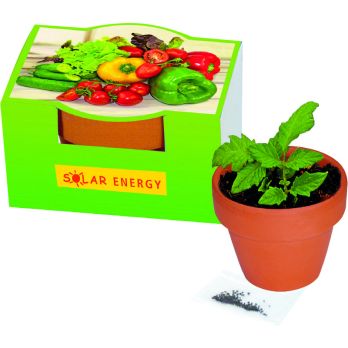 Naschgemüse-Töpfchen Blattsalat-Mix