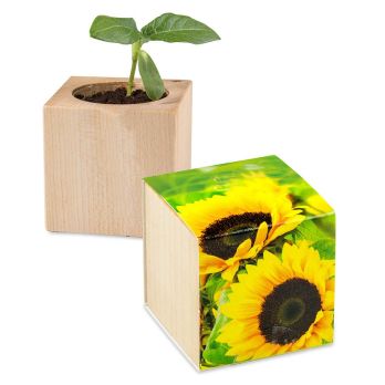 Pflanz-Holz - Standardmotiv - Sonnenblume, 2 Seiten gelasert