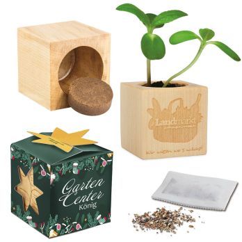 Pflanz-Holz Maxi Star-Box mit Samen, 1 Seite gelasert