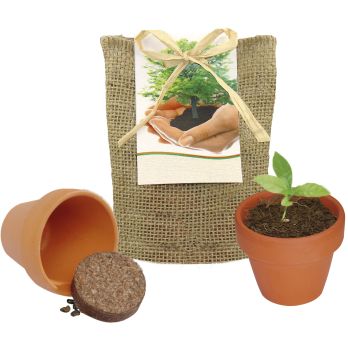 Pflanze Deinen Baum kleines Natur-Säckchen