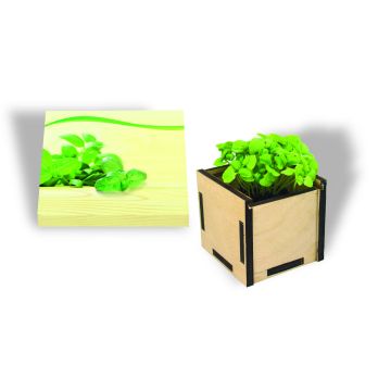 Pflanzsteckbox Green