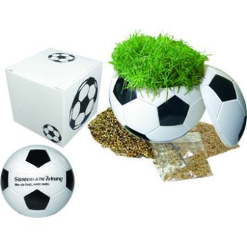 Rasender Fußball in Präsentpackung