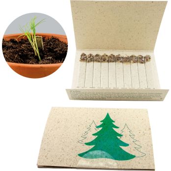 Samen-Booklet Fichte