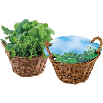 Weiden Körbchen Kräuter