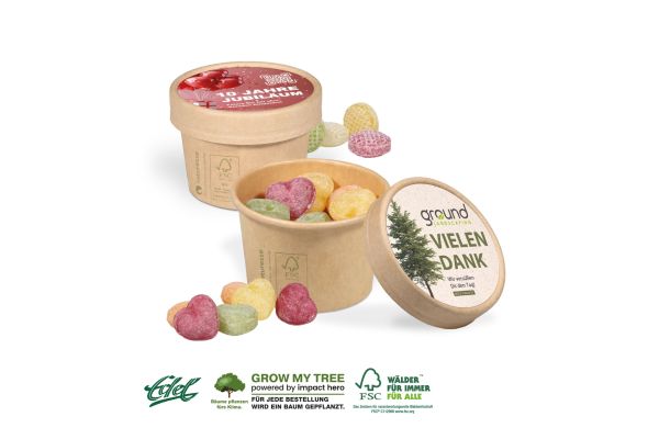 3D Praesent Haus Mit Lindor Pralines