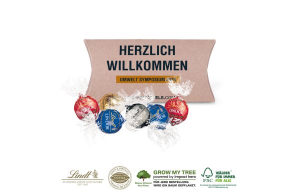 3D Praesent Transporter Mit Lindt Hello