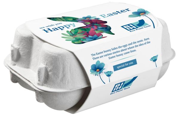6er Ostereier-Karton