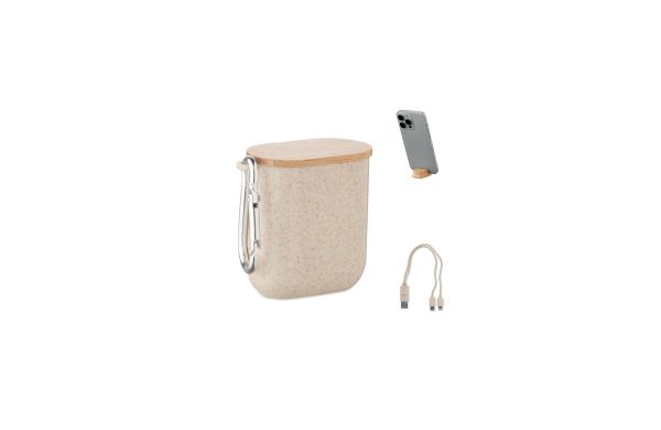 CABSTRA Kabel-Set in Box, beige