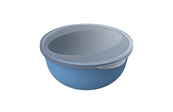 Food-Bowl "ToGo", Classic, 1,0 l, blau/transparent