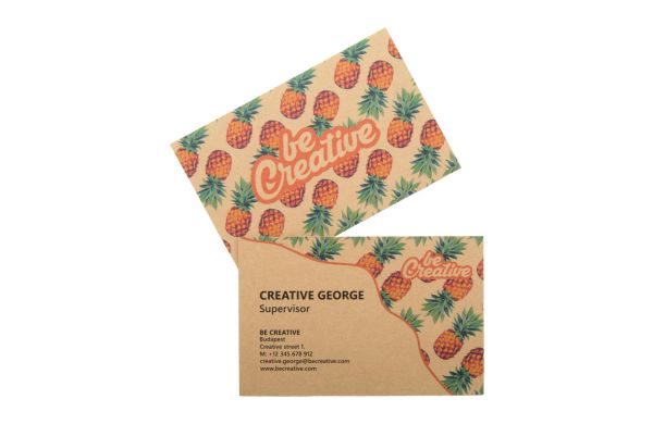 Individuelle Visitenkarten Visicard Eco