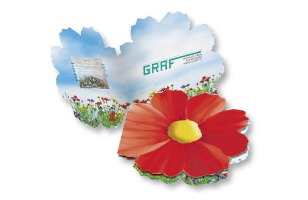 Klappkärtchen Blüte, bunte Blumenmischung