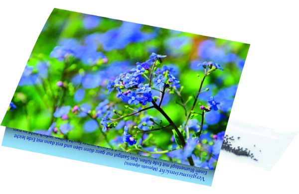 Klappkärtchen Vergissmeinnicht, 90 x 60 mm, Vergissmeinnicht