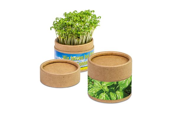 Pflanz-Cup mit Samen