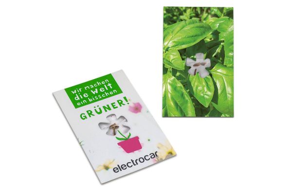 Samen-Karte-Mini Blume