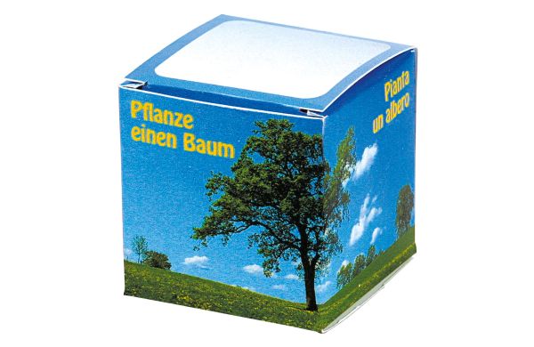 Würfel Baum Robinie -4-sprachig-