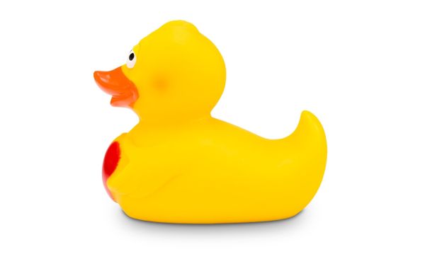 Werbeente Henriette Herz