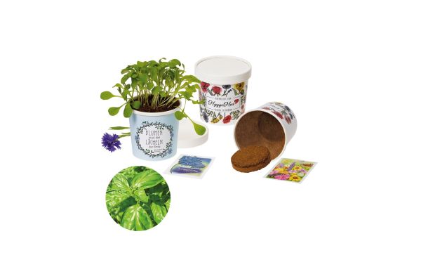 Becher Blümchen - Samenset