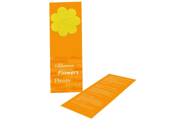 Blumige Lesezeit, bunte Blumenmischung