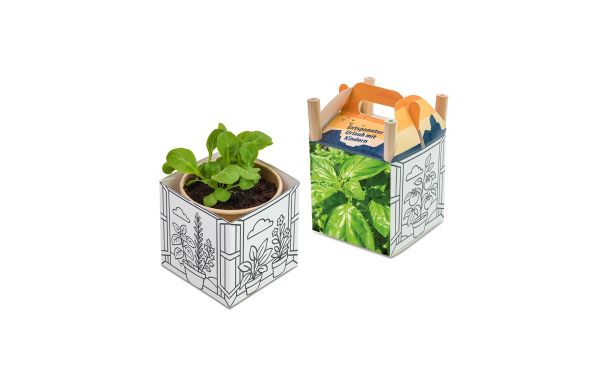Colour & Grow House