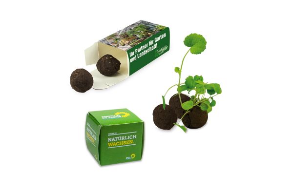Flower-Balls 2er Box mit Samen