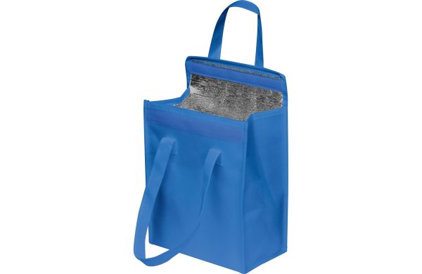 Kühltasche Plzeň