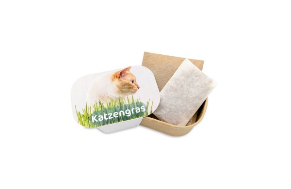 Katzengras Pflanzset