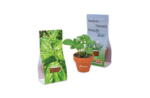 Logo-Töpfchen Überreichverpackung mit Samen