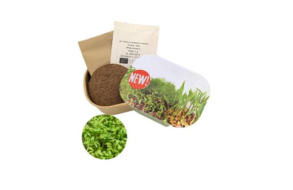 Microgreen Samen Pflanzset (klein)