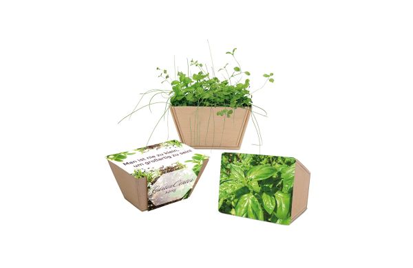 Mini-Beet mit Samen, Lasergravur