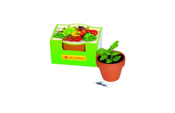 Naschgemüse-Töpfchen, Cocktail Tomate