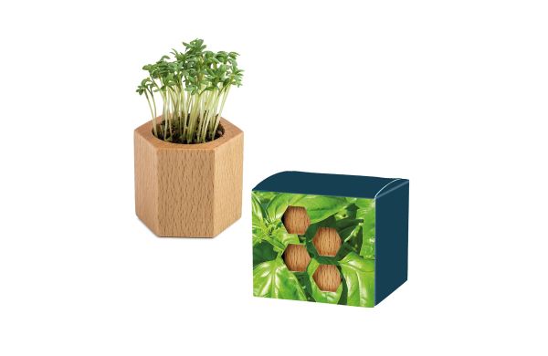 Pflanz-Holz Hexagon mit Samen, 1 Seite gelasert