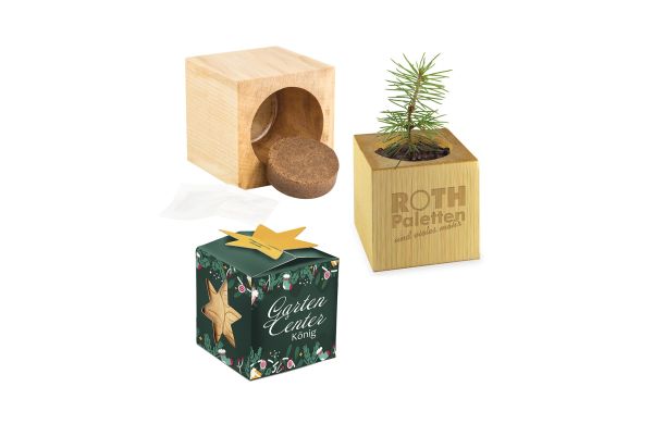 Pflanz-Holz Maxi Star-Box Xmas mit Fichtensamen, 1 Seite gelasert