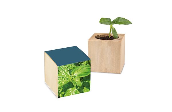 Pflanz-Holz mit Samen, 2 Seiten gelasert