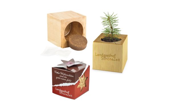 Pflanz-Holz Star-Box Xmas mit Fichtensamen, 1 Seite gelasert