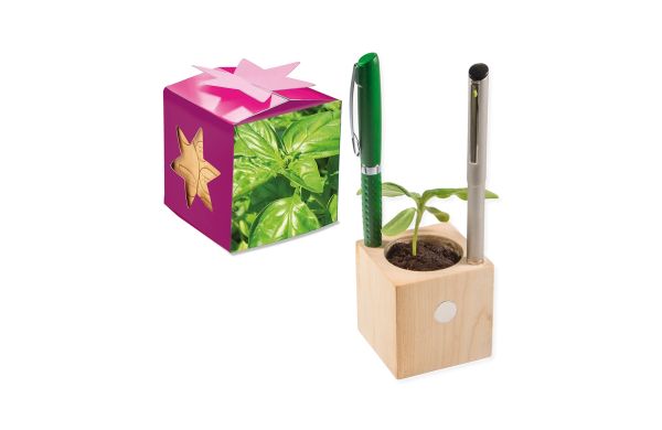 Pflanz-Holz Büro Star-Box mit Samen