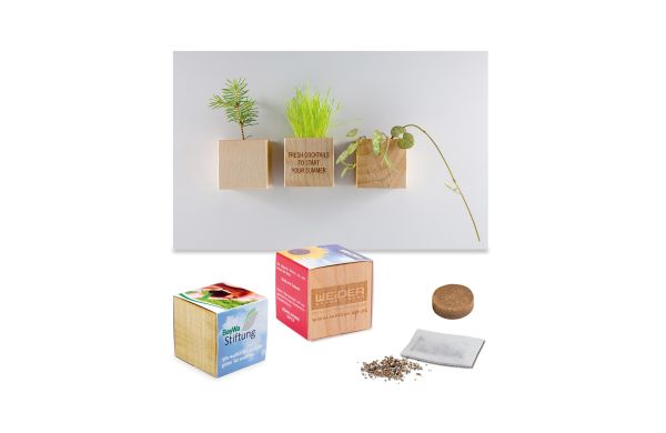 Pflanz-Holz Magnet mit Samen