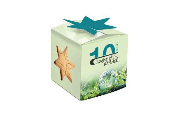 Pflanz-Holz Star-Box Xmas mit Fichtensamen, 2 Seiten gelasert