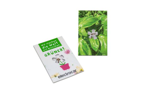 Samen-Karte-Mini Blume