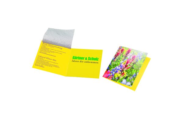 Samenpapier Blumenkärtchen, bunte Blumenmischung