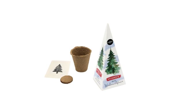 Tannenbaum Pyramide