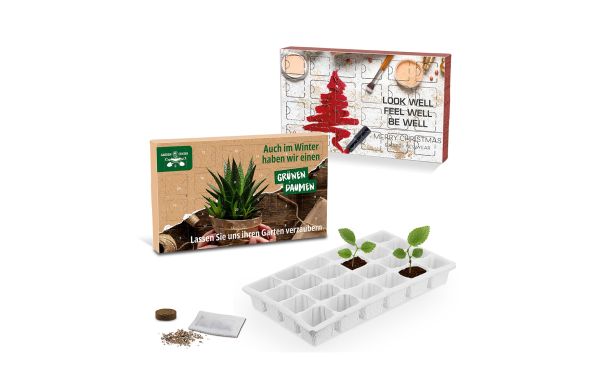 Wachsender Adventskalender