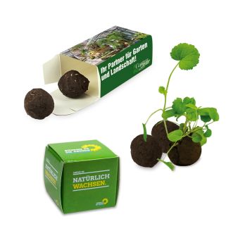 Flower-Balls 1er Box mit Samen