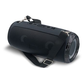Large speaker with shoulder strap 20W