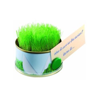 Minigarten Gras mit Magnet